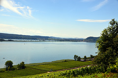 Weinbauregion Bielersee nach Schafis