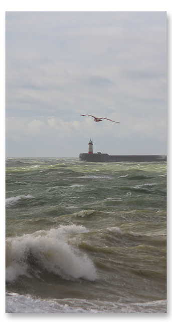 Vertical sea view - Newhaven - 20 10 2020