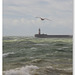 Vertical sea view - Newhaven - 20 10 2020