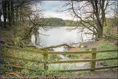 HFF  Linacre reservoirs, woodland trails.