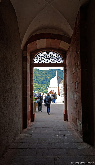 im Heidelberger Schloss (© Buelipix)