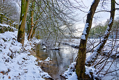 On the banks of the Derwent in Winter (Forge Valley)