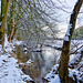 On the banks of the Derwent in Winter (Forge Valley)