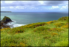 Above Basset Cove and Porthcadjack. South West Peninsula Coast Path, Cornwall