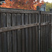 fence, autumn