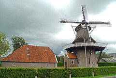 Nederland - Noordwolde, Windlust