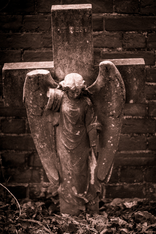 May 2nd: Fallen Angel
