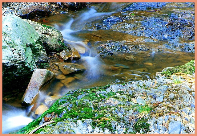 Clear water stream