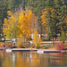 McLeese Lake, BC