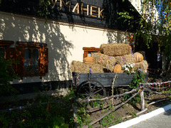 Transnistria- Tiraspol- Kumanek Restaurant