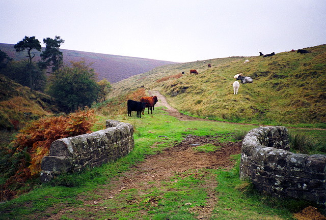 Three Shires Head (scan from 1990)