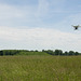Drone at Cahokia