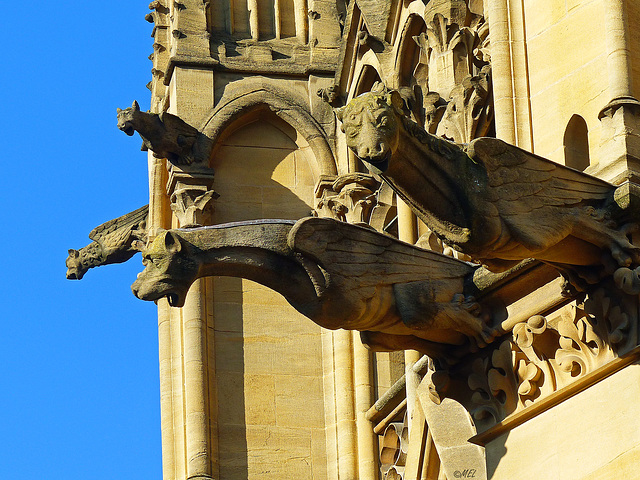Wasserspeier, Kathedrale Metz