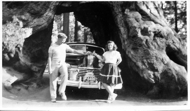 Yosemite 1947