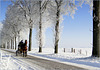 HFF: Enjoying the Dutch Winter...