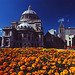 Marigolds at Christian Science Center