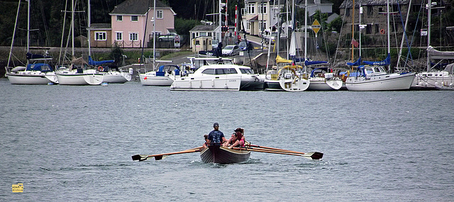 Oars on the River Dart