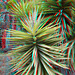 Plant Alcazaba Malaga 3D