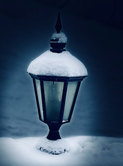 portrait of a winter lamp