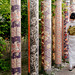 Forêt de kimonos