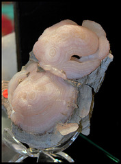 Calcédoine opale -Nouveau Mexique