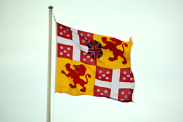England 2016 – Standard of the Duke of Wellington