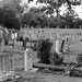 Welwyn cemetery (2)