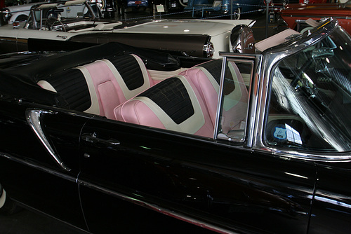 Pink Interior (5006)