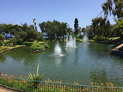 St Catherine's Park, Funchal