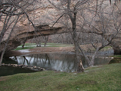 Ayer's Natural Bridge
