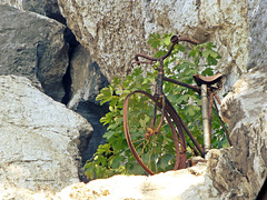 Radl ... oder 'mountain bike'