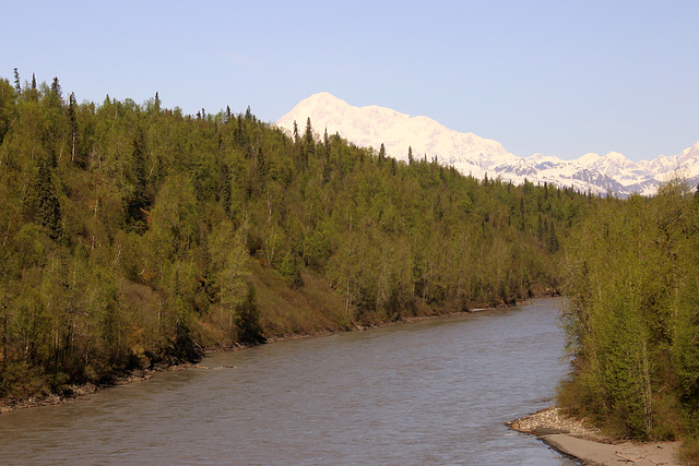 On the road to Talkeetna