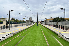 Valencia 2022 – Rails waiting for a tram