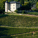 Domaine vin de Savoie