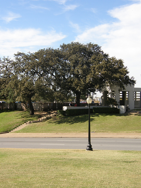 The "Grassy Knoll"