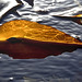 Kelp Light and Reflections