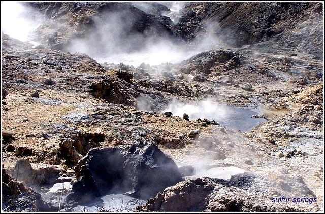 St.Lucia : Sulfur spring