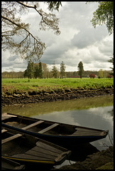 Boats and countryside