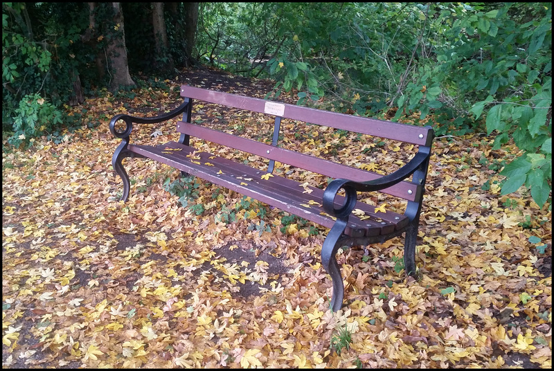 Trevor Lacey seat in autumn