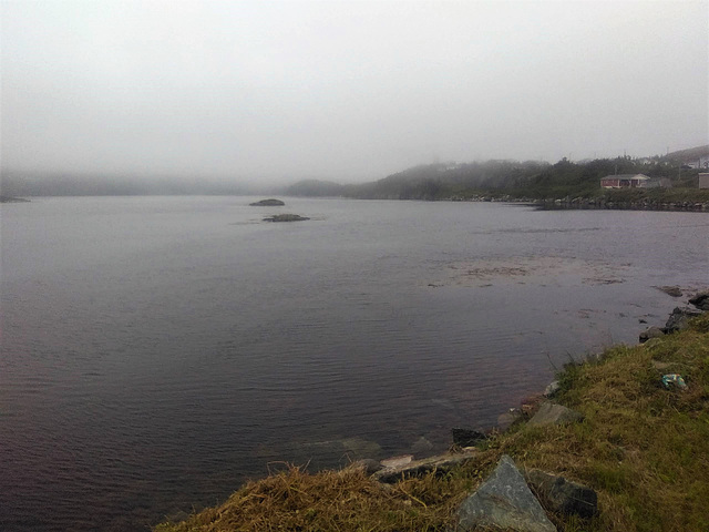 Le brouillard matinal de Terre-Neuve / Newfoundland morning fog