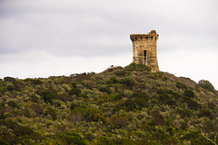 Genoan Tower