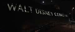 Walt Disney Concert Hall (0222)