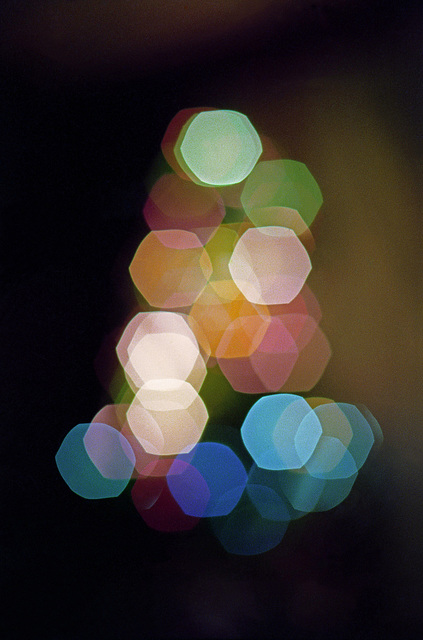Christmas Tree, 1978