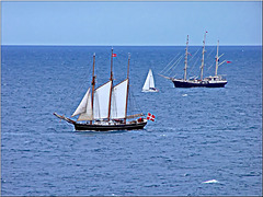Barche a vela davanti al porto di Camogli