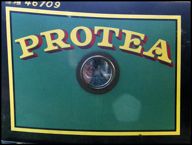 Protea narrowboat sign