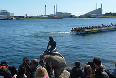 Copenhague, los barcos de turistas se acercan para ver la Sirenita