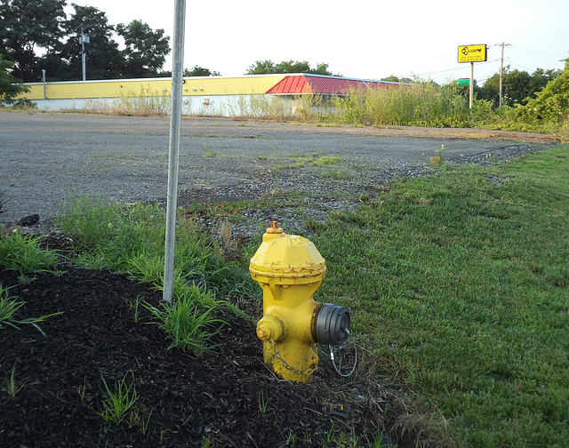 Glad(d) hydrant