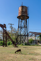 sugar mill - Salvador Rosales