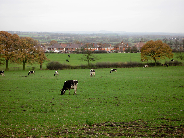 Fields near Dairy House Farm