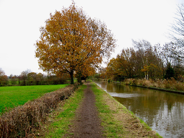 Looking west along the Coventry Canal near Polesworth